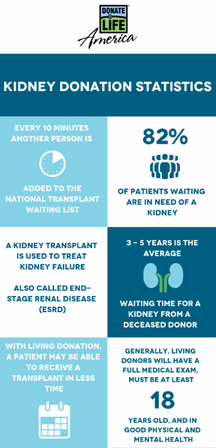 Kidney-Donation-Statistics-for-site