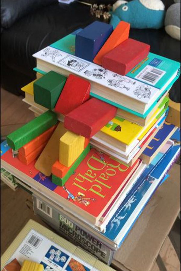 Student+Jaydon+S.+created+his+Rube+Goldberg+machine+using+household+materials+like+books+and+blocks.