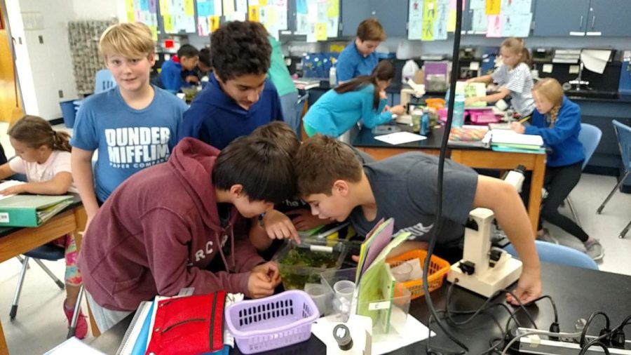 Mr. Bradfords students last year crowded around fish tanks to learn about eco-systems, but students werent able to do that lab this year.