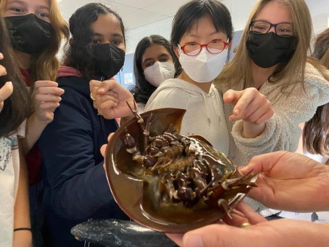 Surprising Sea Life Finds Its Way into LMS