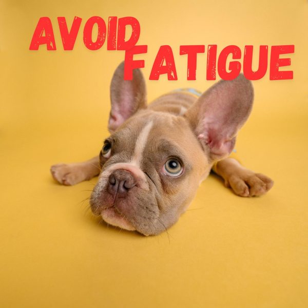 7 Tips To Avoid Fatigue